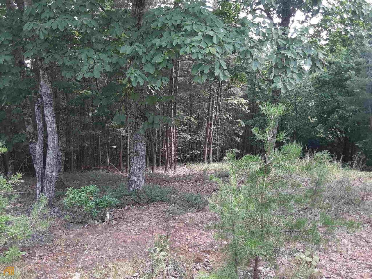 0 Timber Rock - Photo 1
