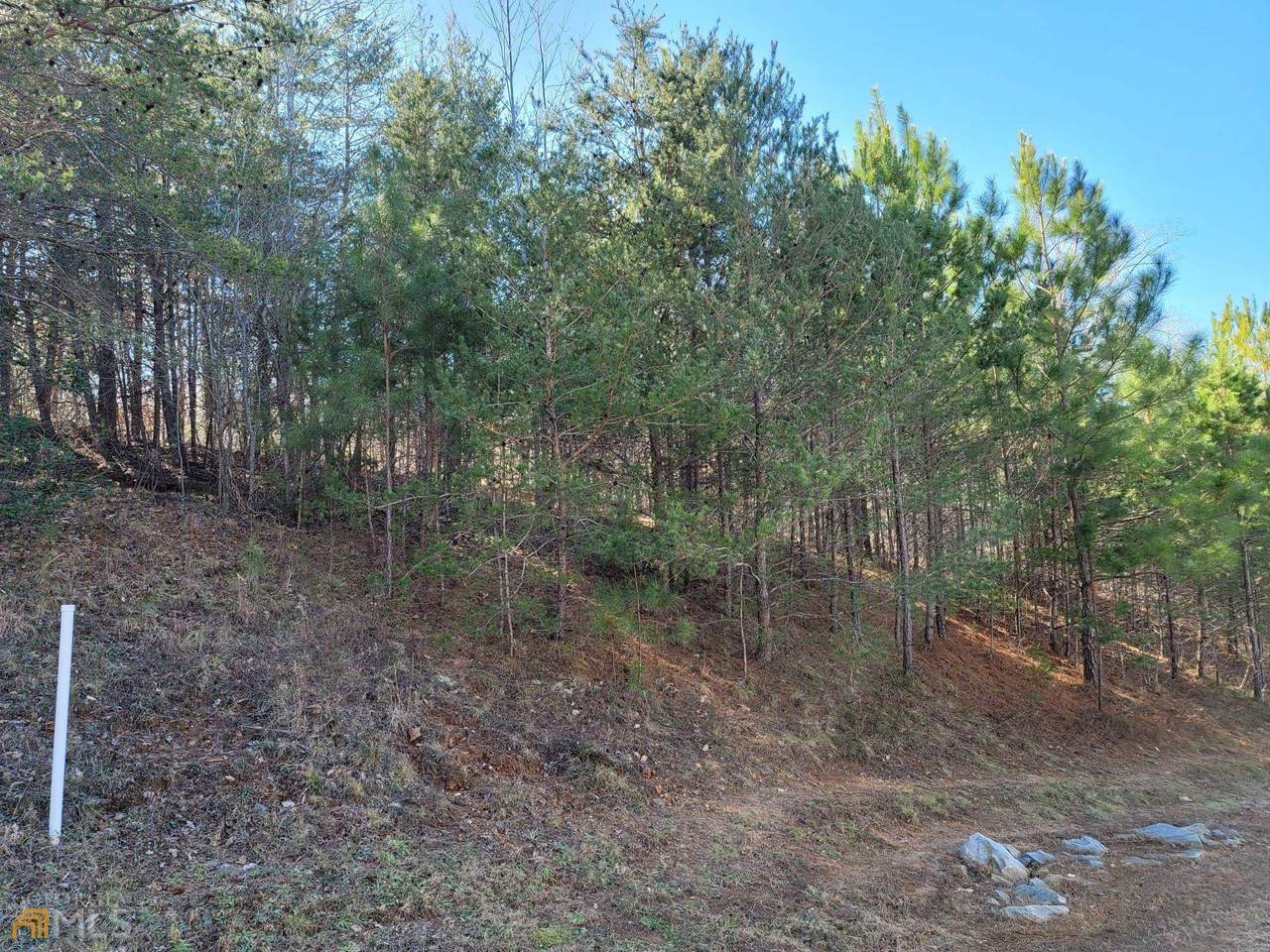 709 Edgewater Trail - Photo 1