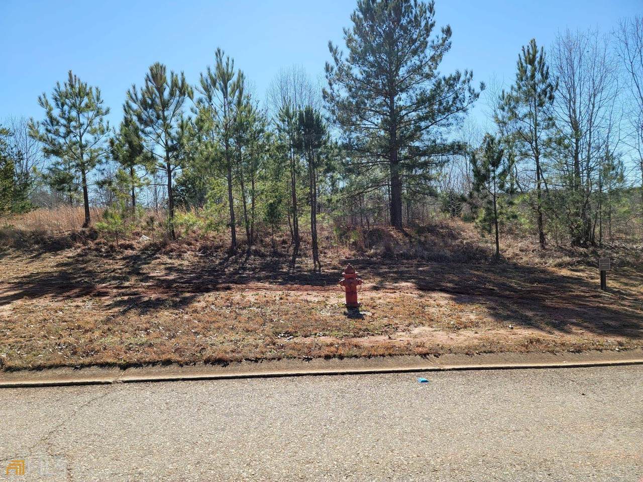 1541 Currahee Club Drive - Photo 1