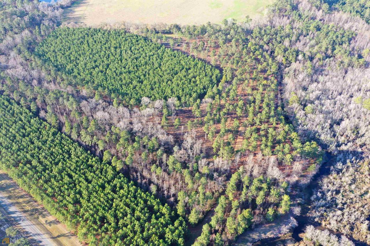 1249 Lotts Creek Road - Photo 1