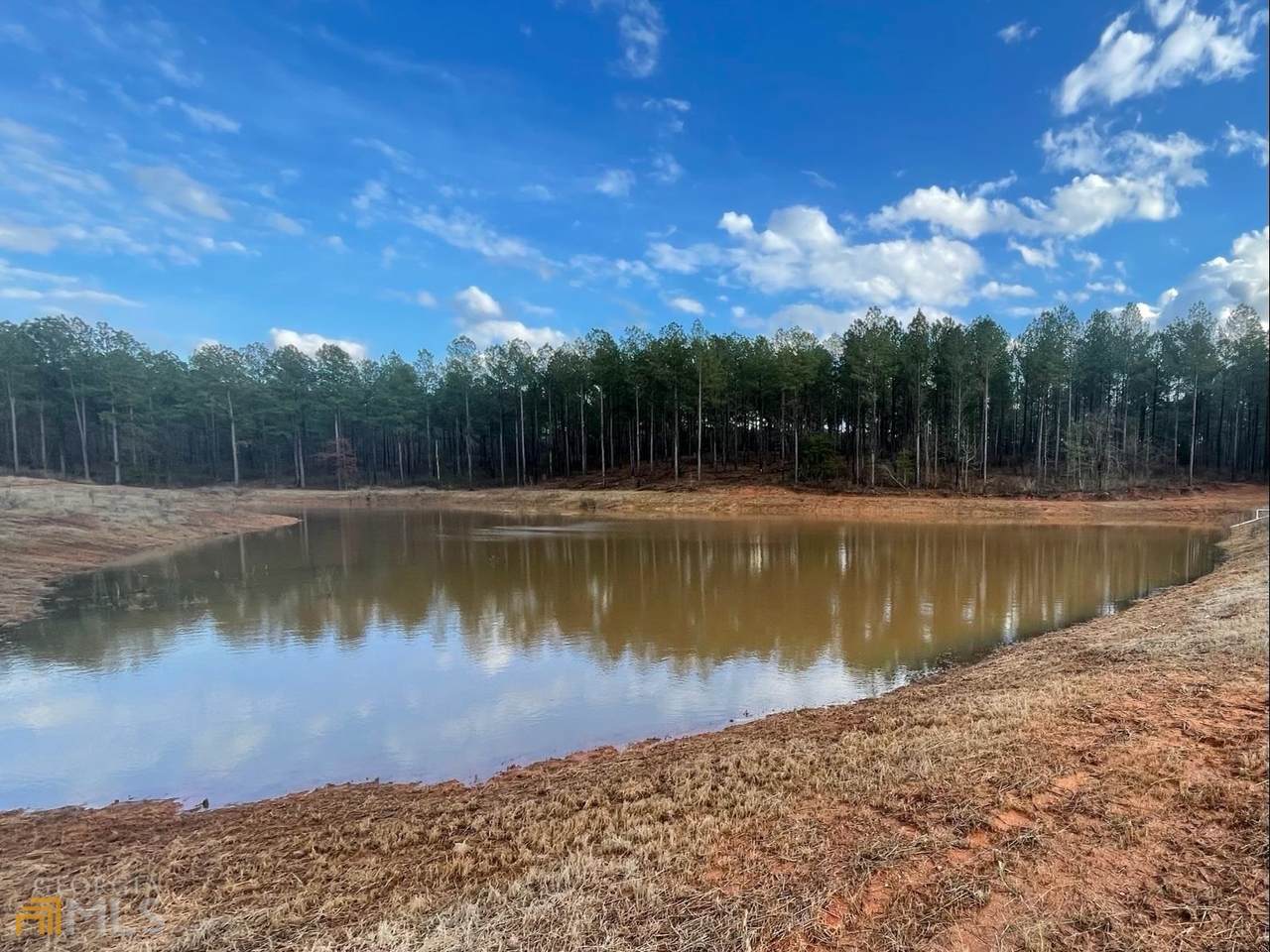 0 Sandy Creek Rd - Photo 1