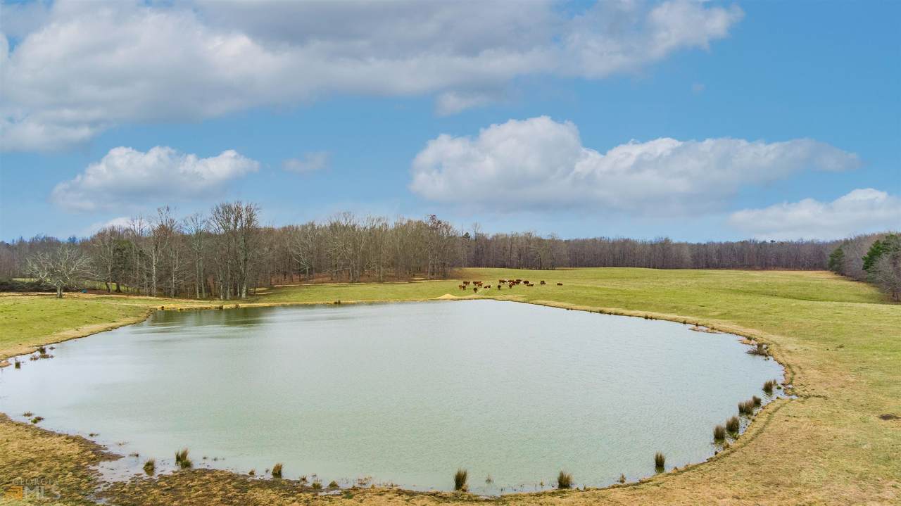 372 Flarity Road - Photo 1