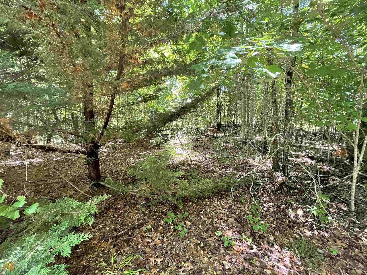 0 Lewis Grindle Road - Photo 1