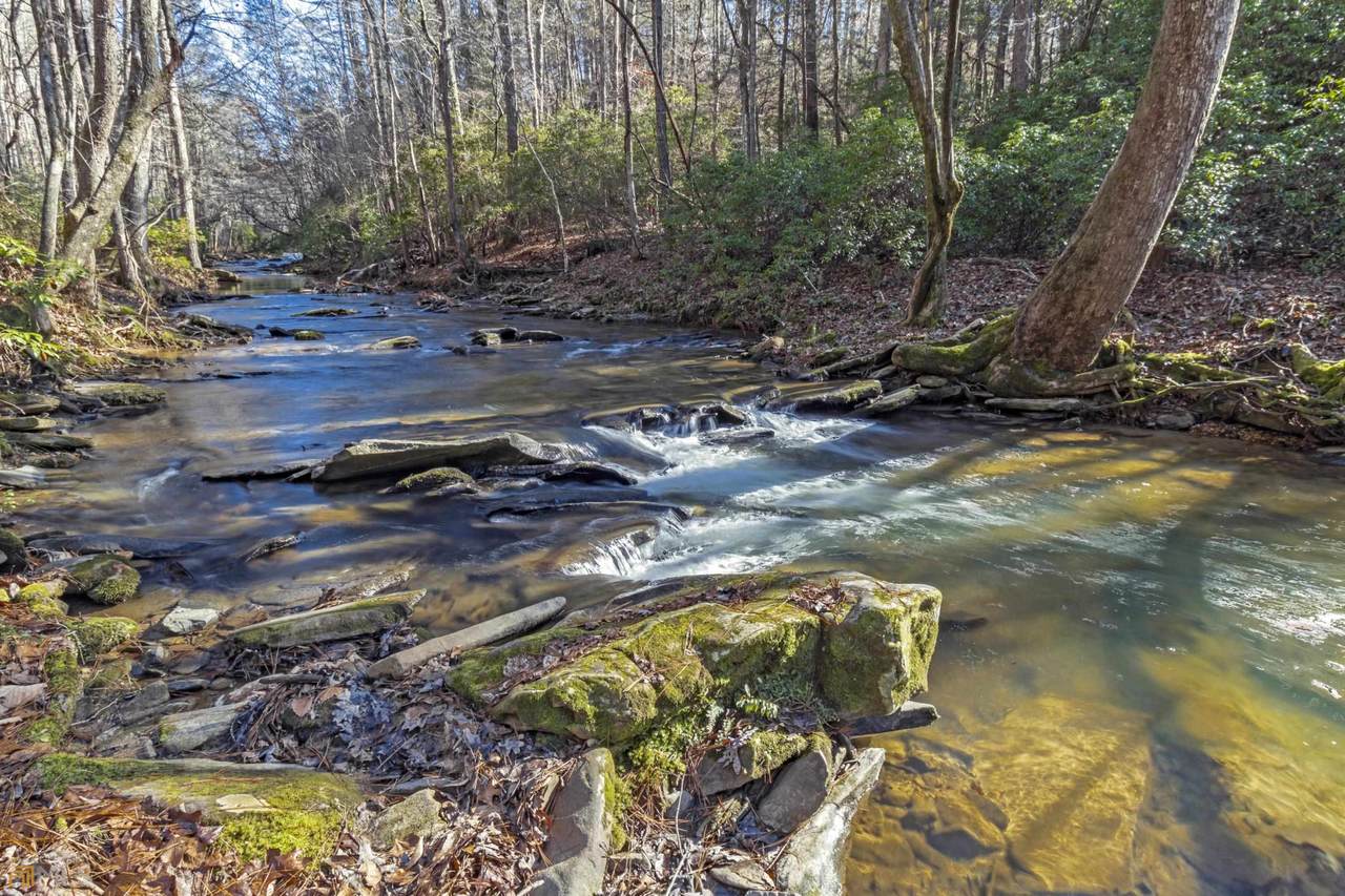 0.95 Quail Run Court - Photo 1