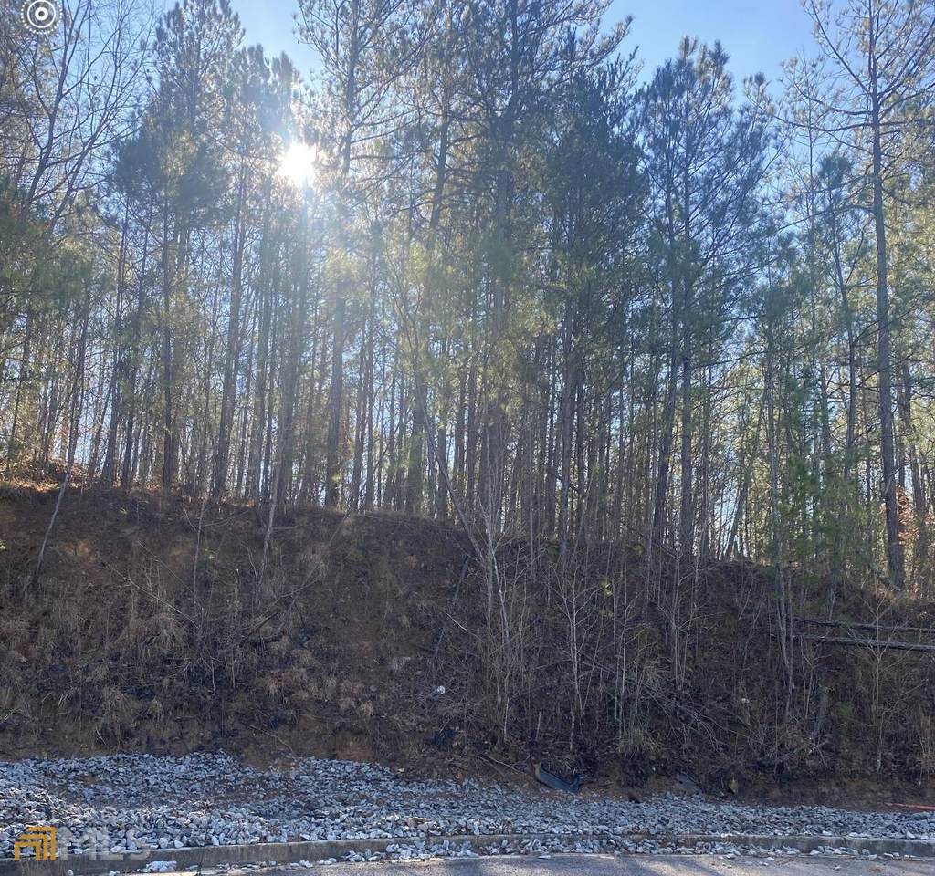 144 Lynn Top Ridge - Photo 1