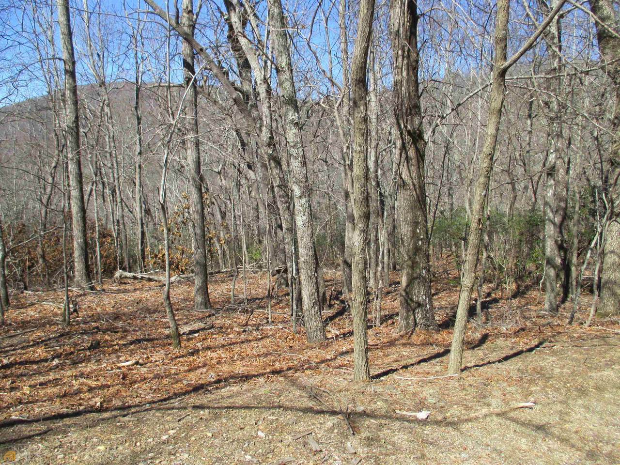 0 Boundry Creek Trail - Photo 1