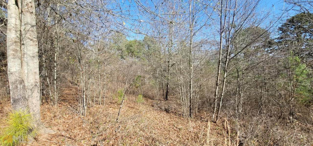 260 Edgewater Trail - Photo 1