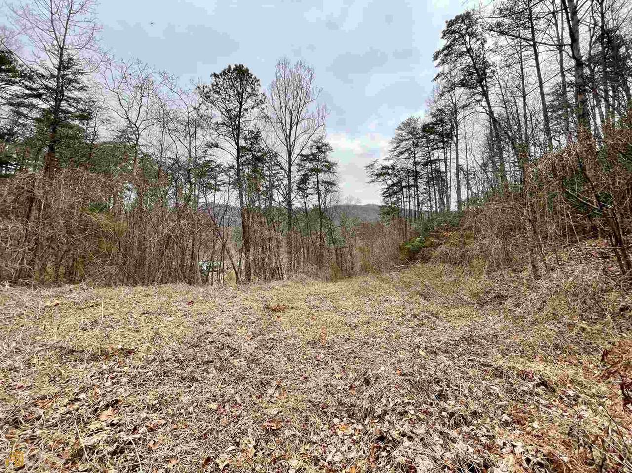 0 Owl Creek Drive - Photo 1