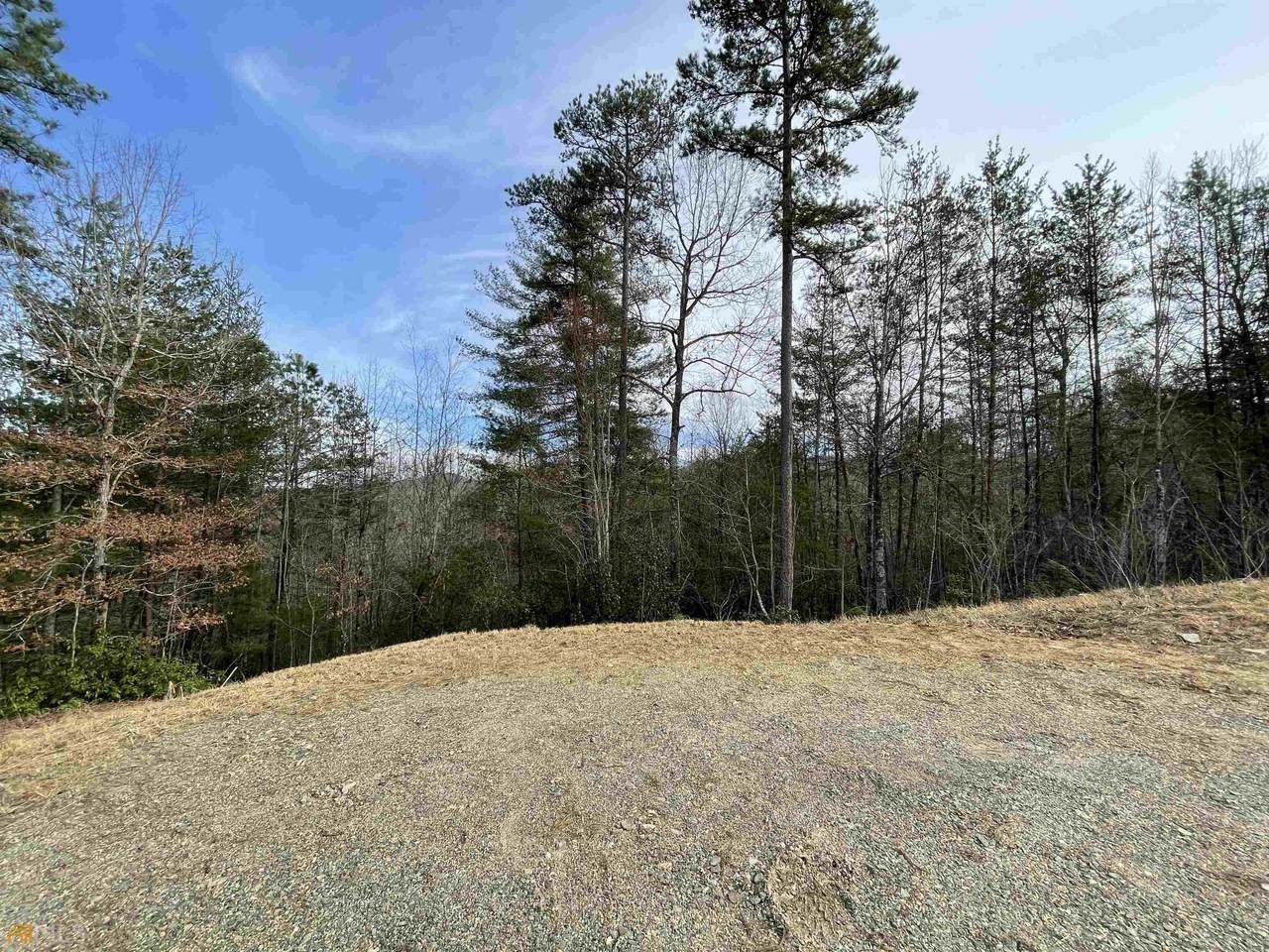 118 Brannon Ridge - Photo 1