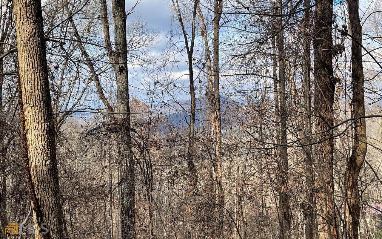 LOT 100 Timberline - Photo 1