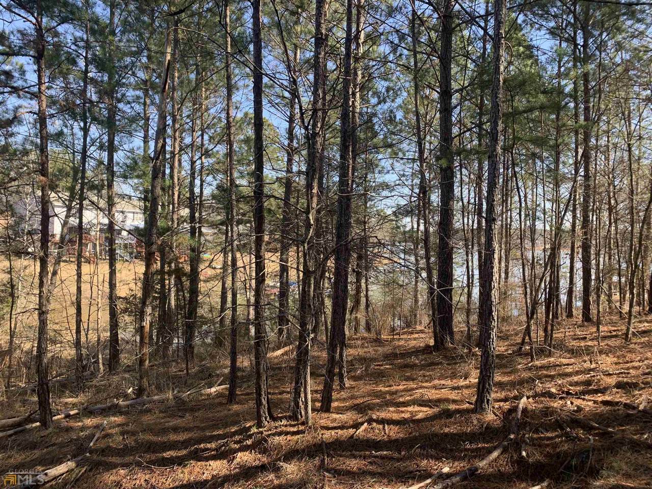 116 Island Creek Drive - Photo 1