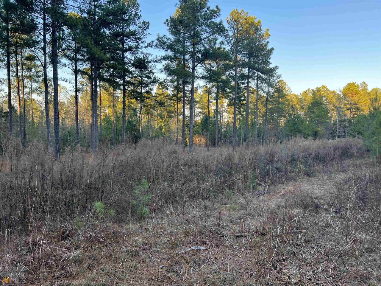 1360 & 1368 Hornets Bridge Drive - Photo 1