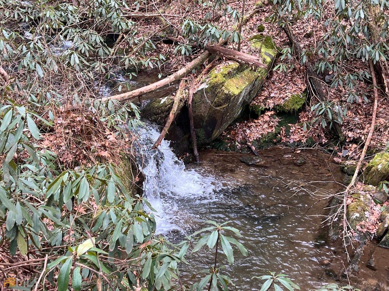 000 Laurel Creek Trail Trail - Photo 1