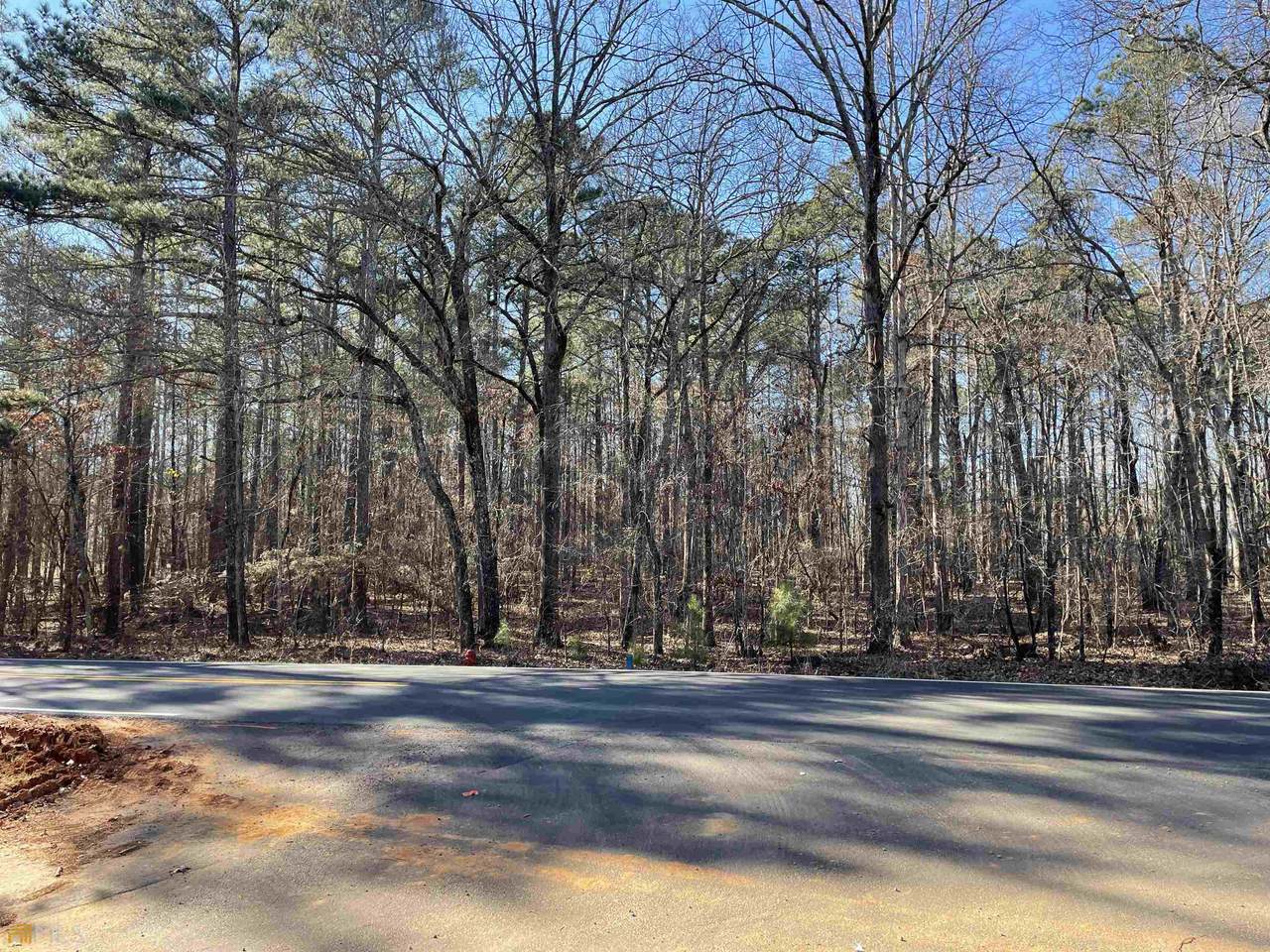 0 Locust Grove Griffin Road - Photo 1
