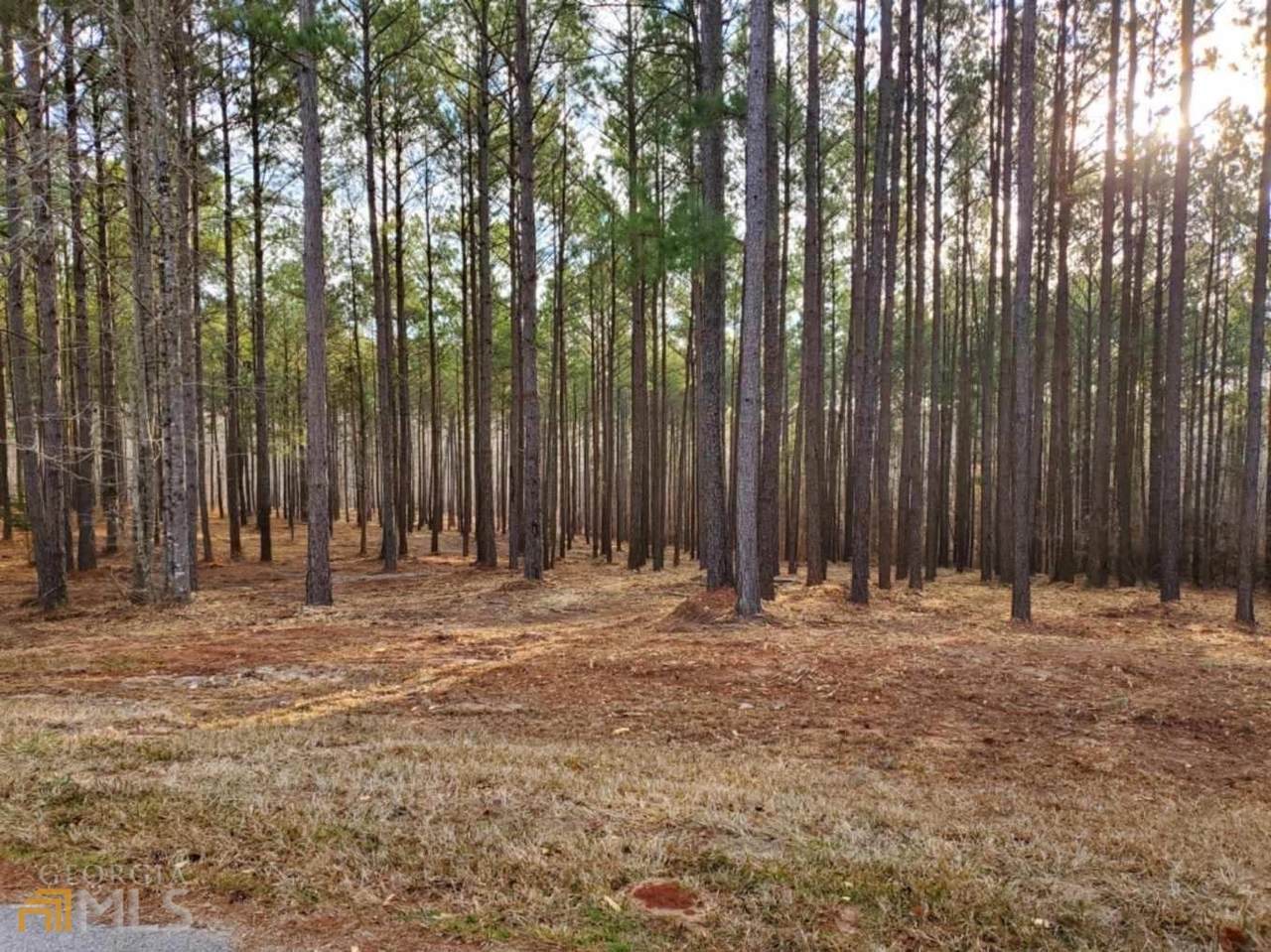 LOT 44 Shelter Cove Rd - Photo 1