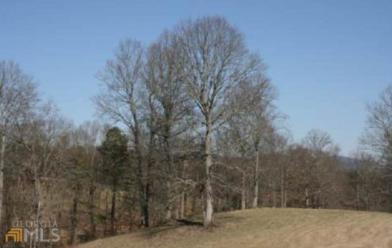 LOT 35 Winding View Drive - Photo 1