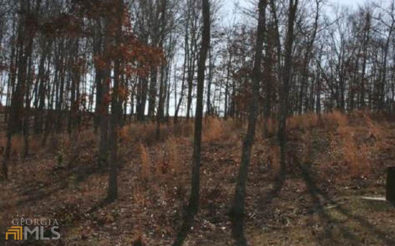 LOT 54 Arden Trail - Photo 1