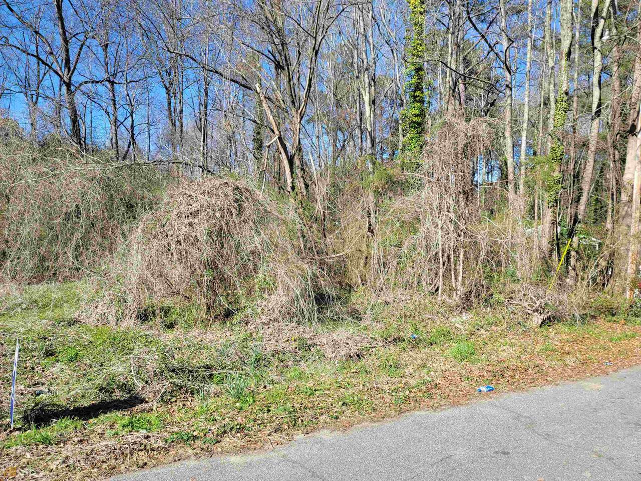 0 Paradise Lake Avenue - Photo 1