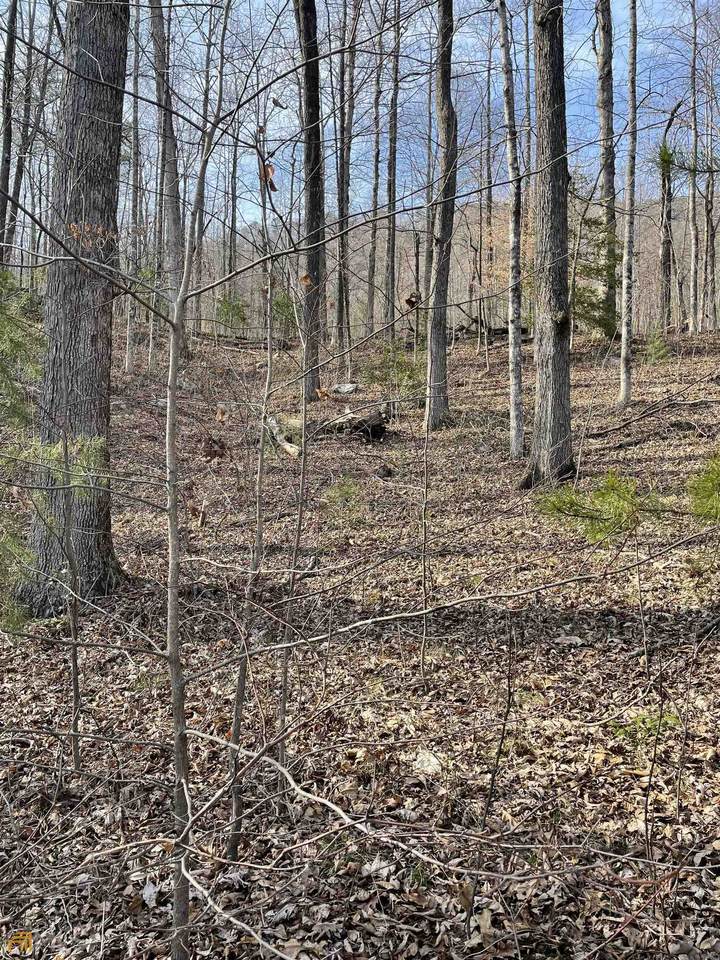 0 Black Rock Estates Lot 12 - Photo 1