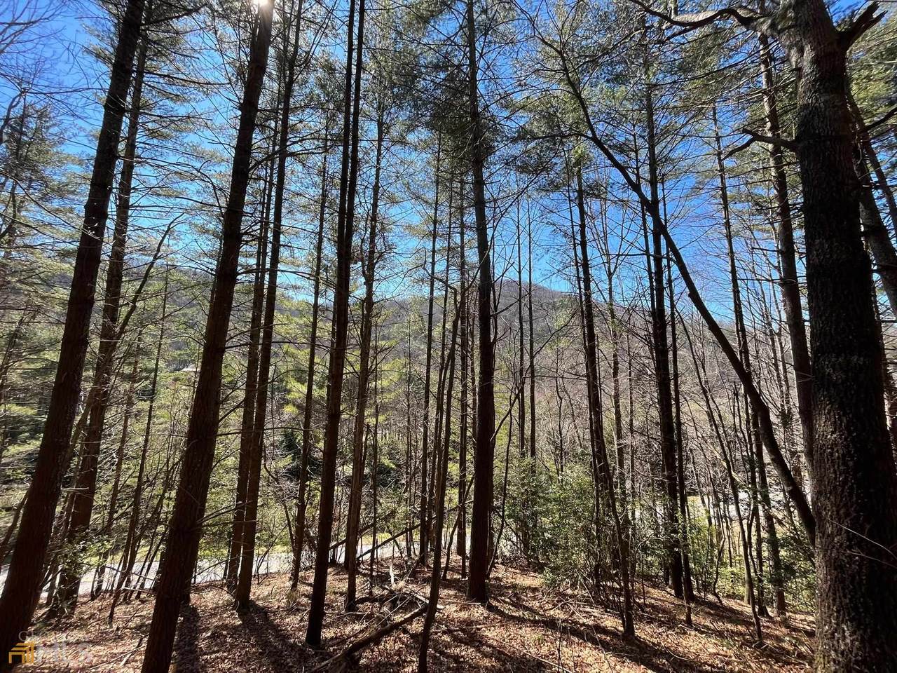 000 Owltown Road Road - Photo 1