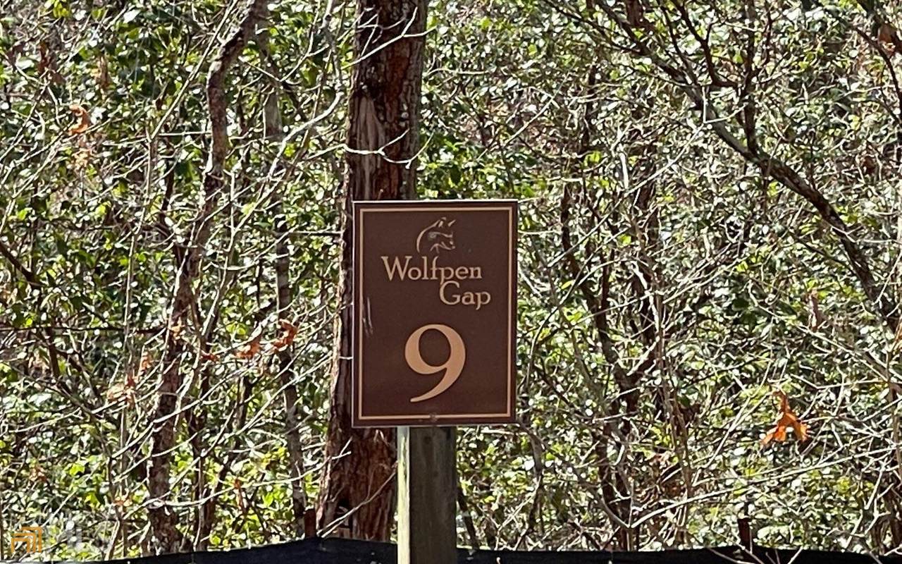 LOT 9 Wolfpen Gap Sub - Photo 1