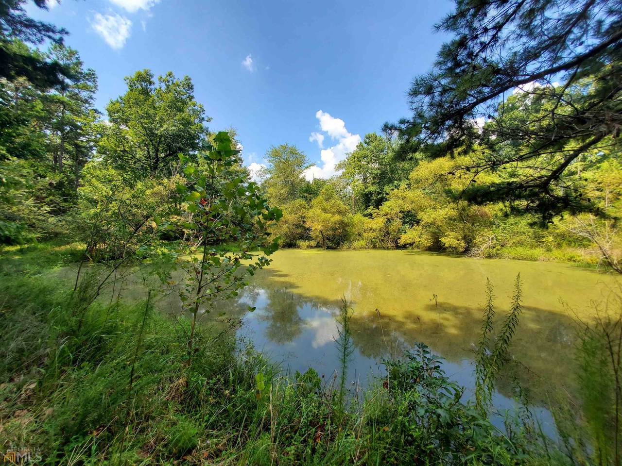 07 Riverwood Road - Photo 1