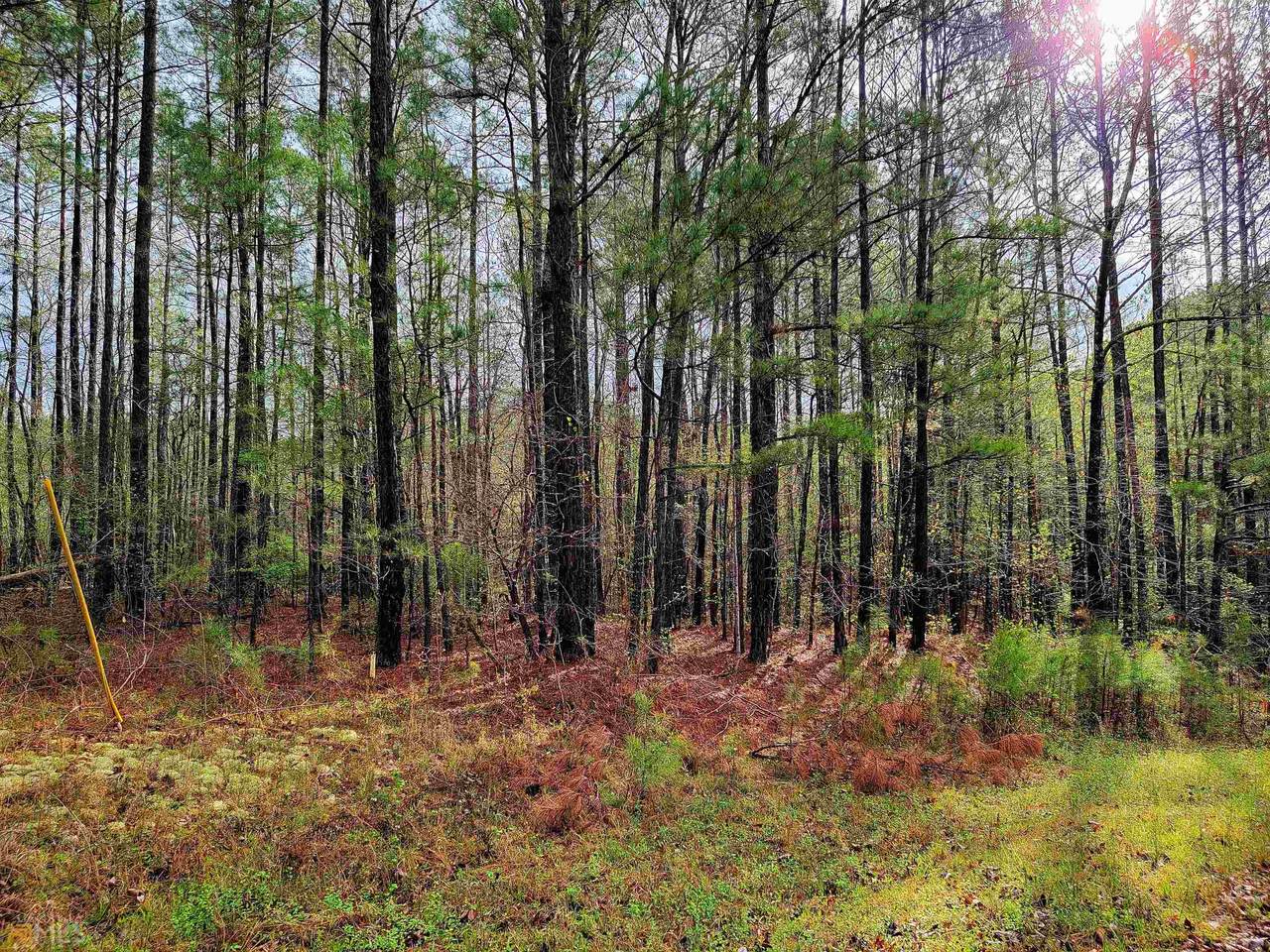 0 Wehadkee Creek Road - Photo 1