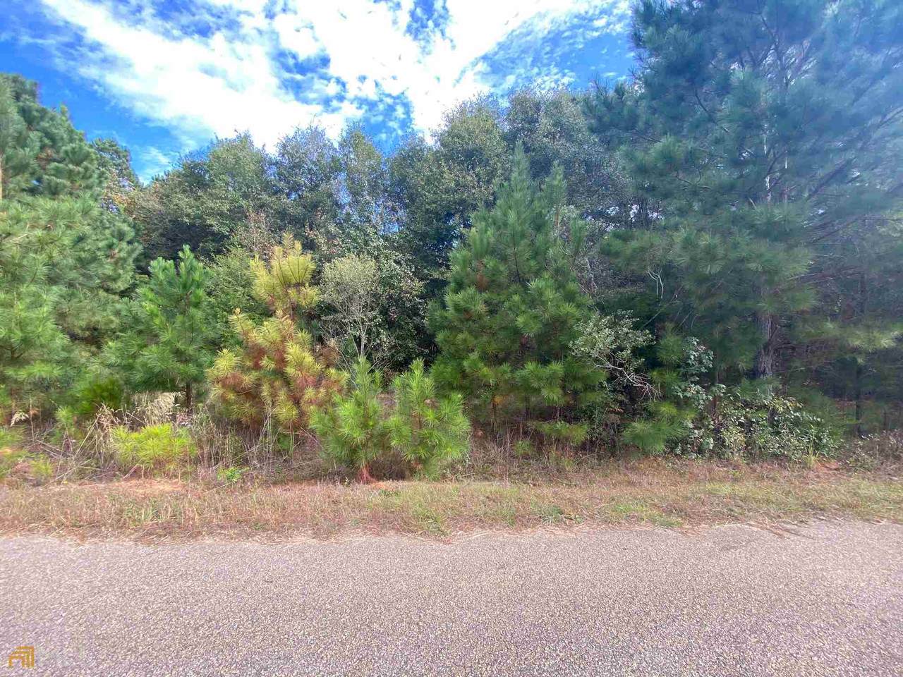 0 Rellim Lane - Photo 1