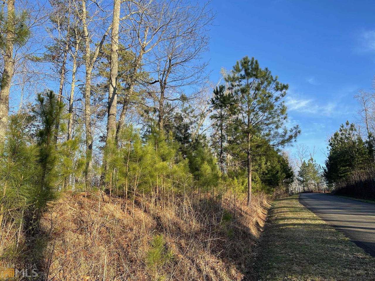 LOT 166 Harris Creek Drive - Photo 1