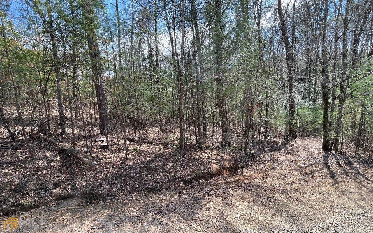 LOT 3 Blue Ridge Heights - Photo 1