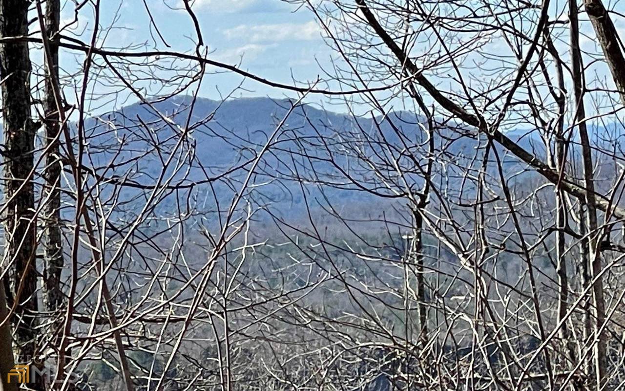 LOT 25 Deer Valley - Photo 1