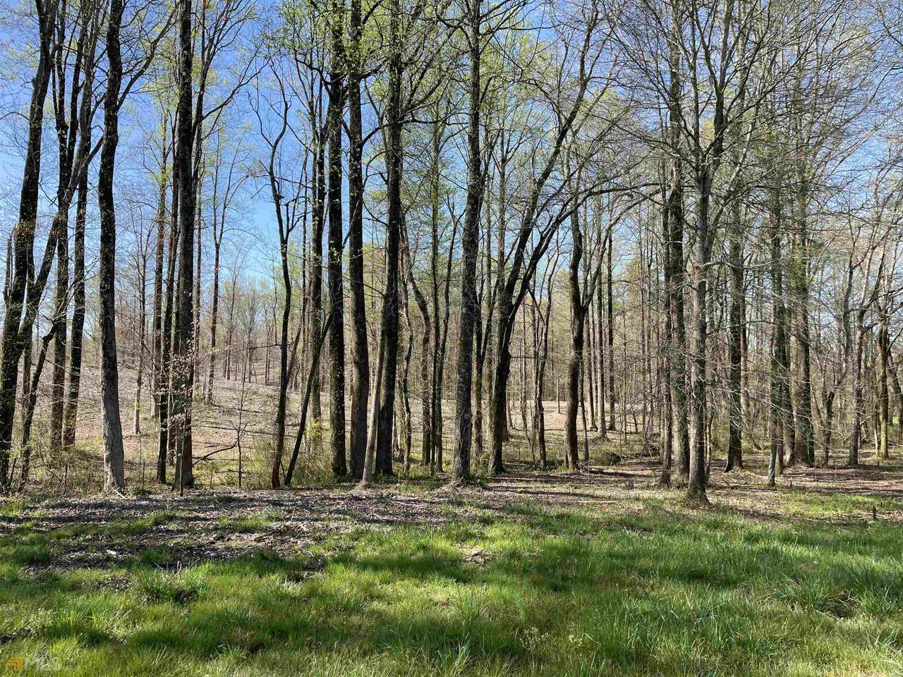 0 S Black Rd. Tract 1 - Photo 1