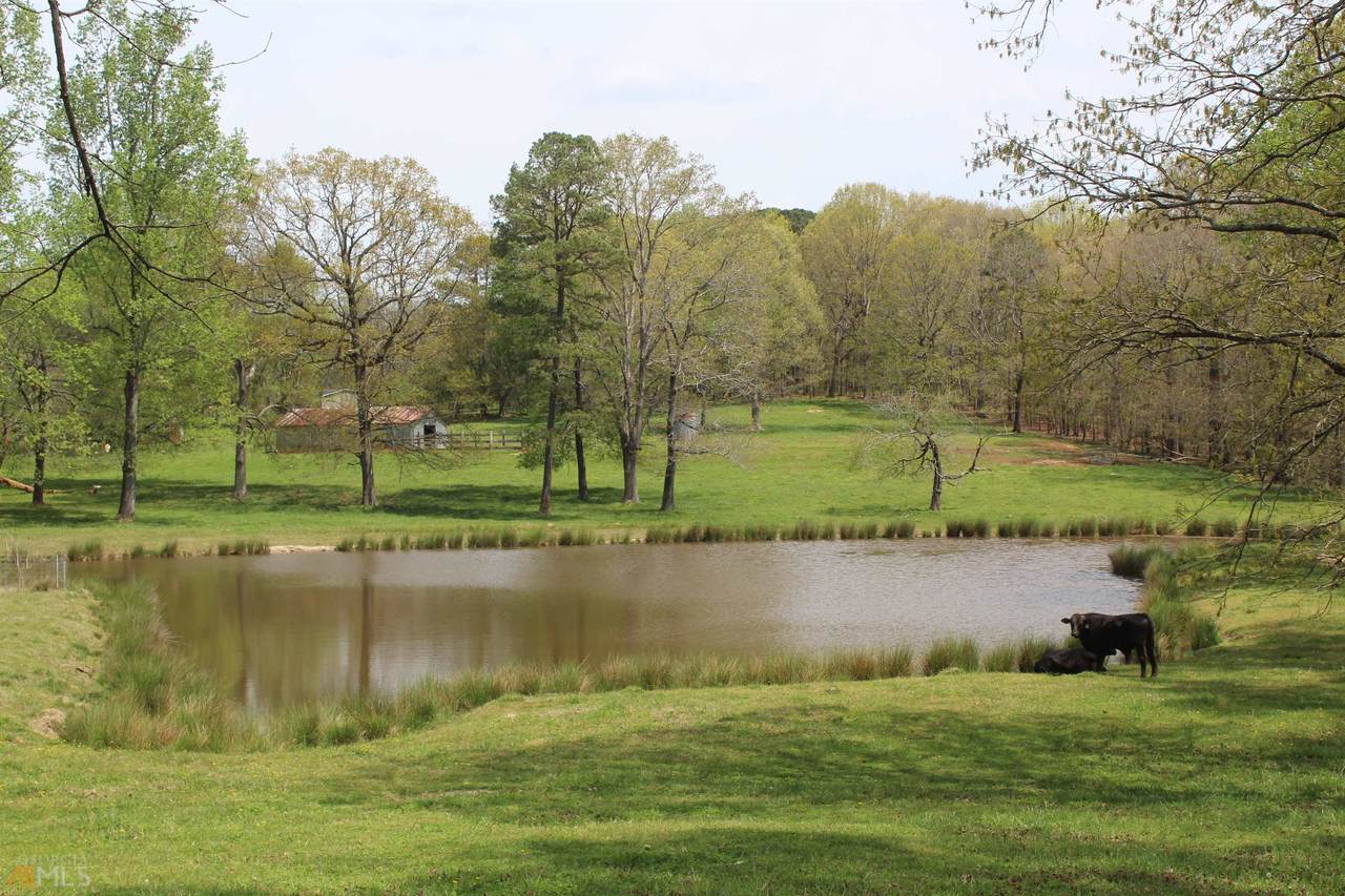 0 Hog Mountain Road - Photo 1