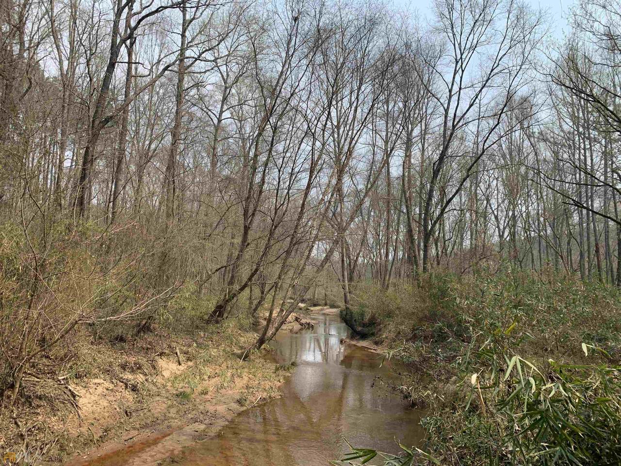 1877 AC Enon Grove Road - Photo 1
