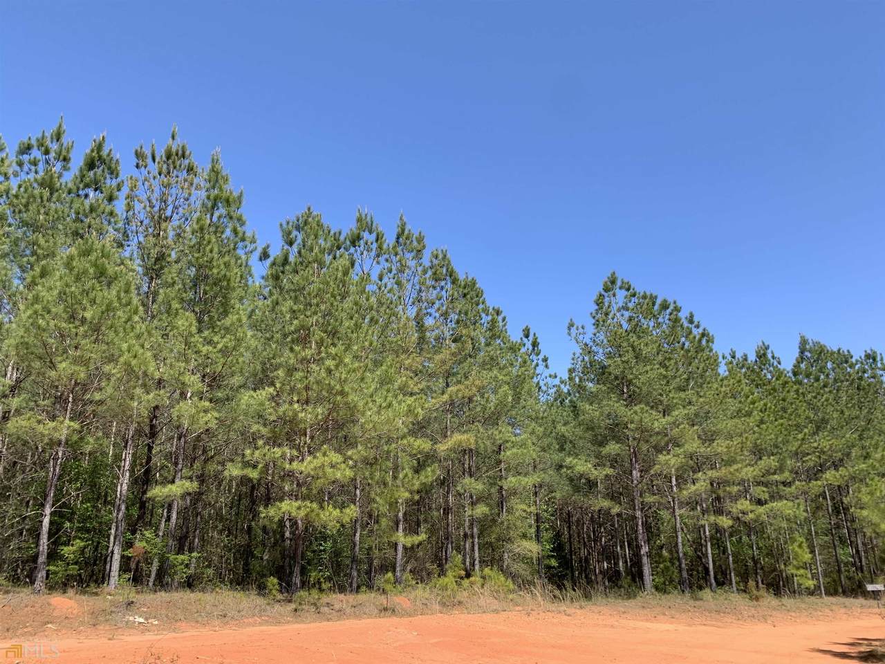 146.36 AC George Brown Road - Photo 1