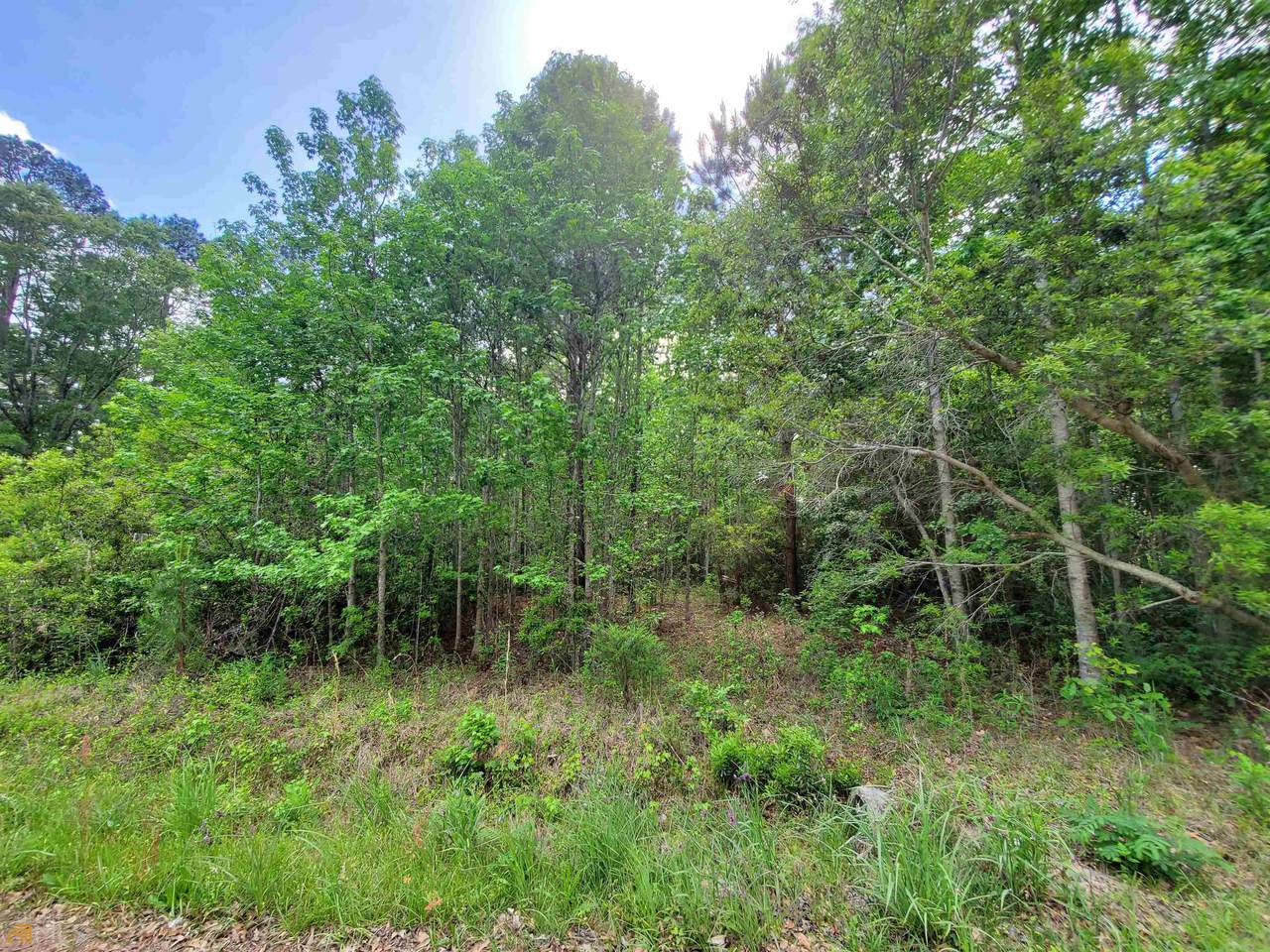 0 Lakeside Drive - Photo 1