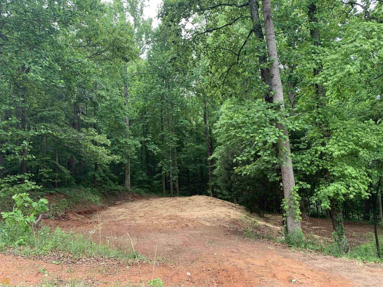 5327 Forest Way - Photo 1