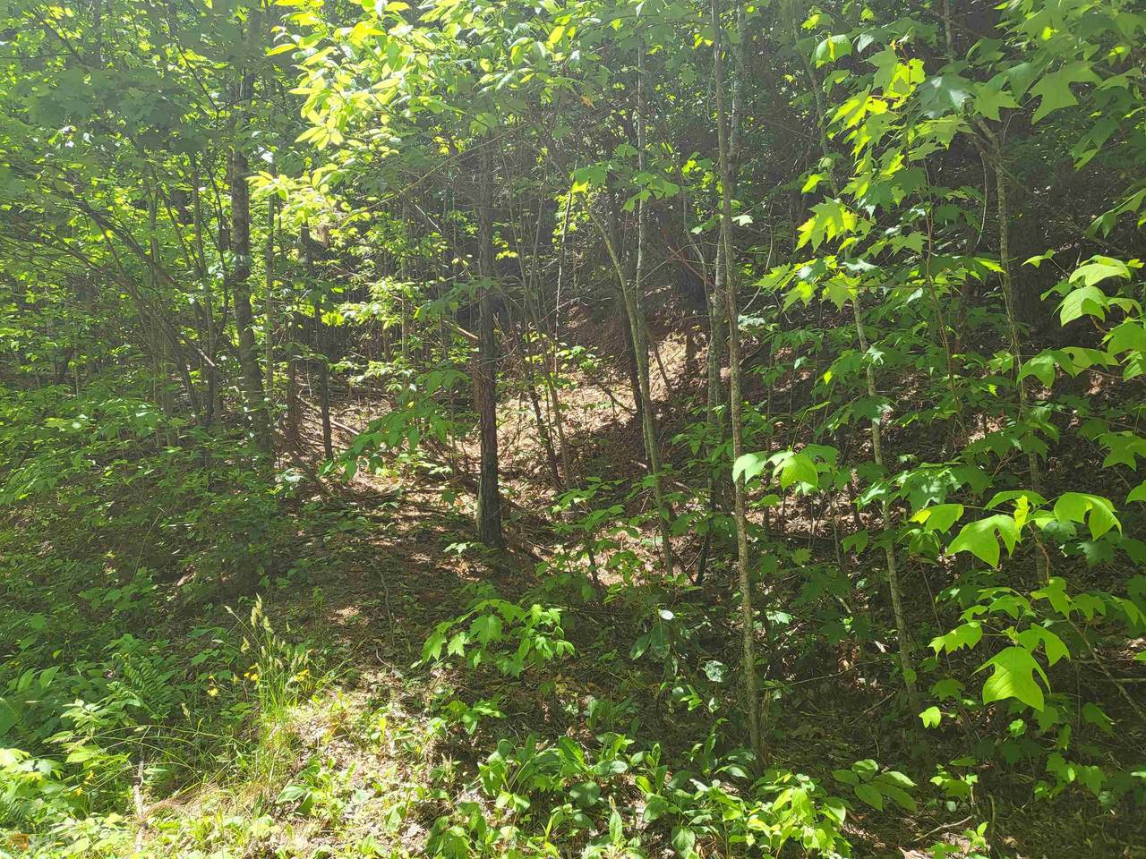24 Itsey Trail - Photo 1