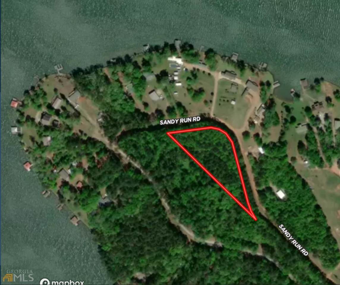 0 Sandy Run Road - Photo 1