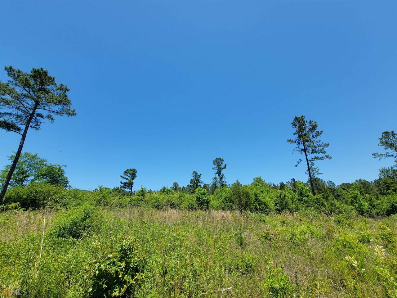 2455 Dennis Road - Photo 1