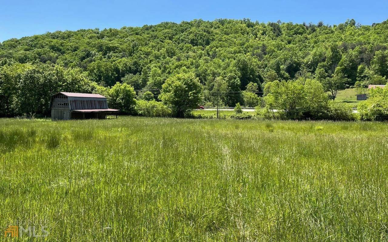 TRACT A Hwy 64 West - Photo 1