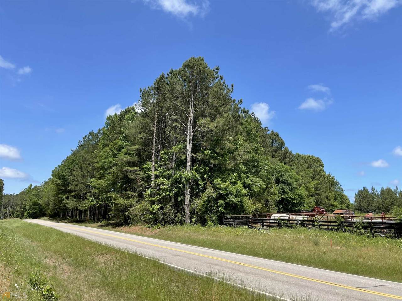 0 Coweta Heard Road - Photo 1