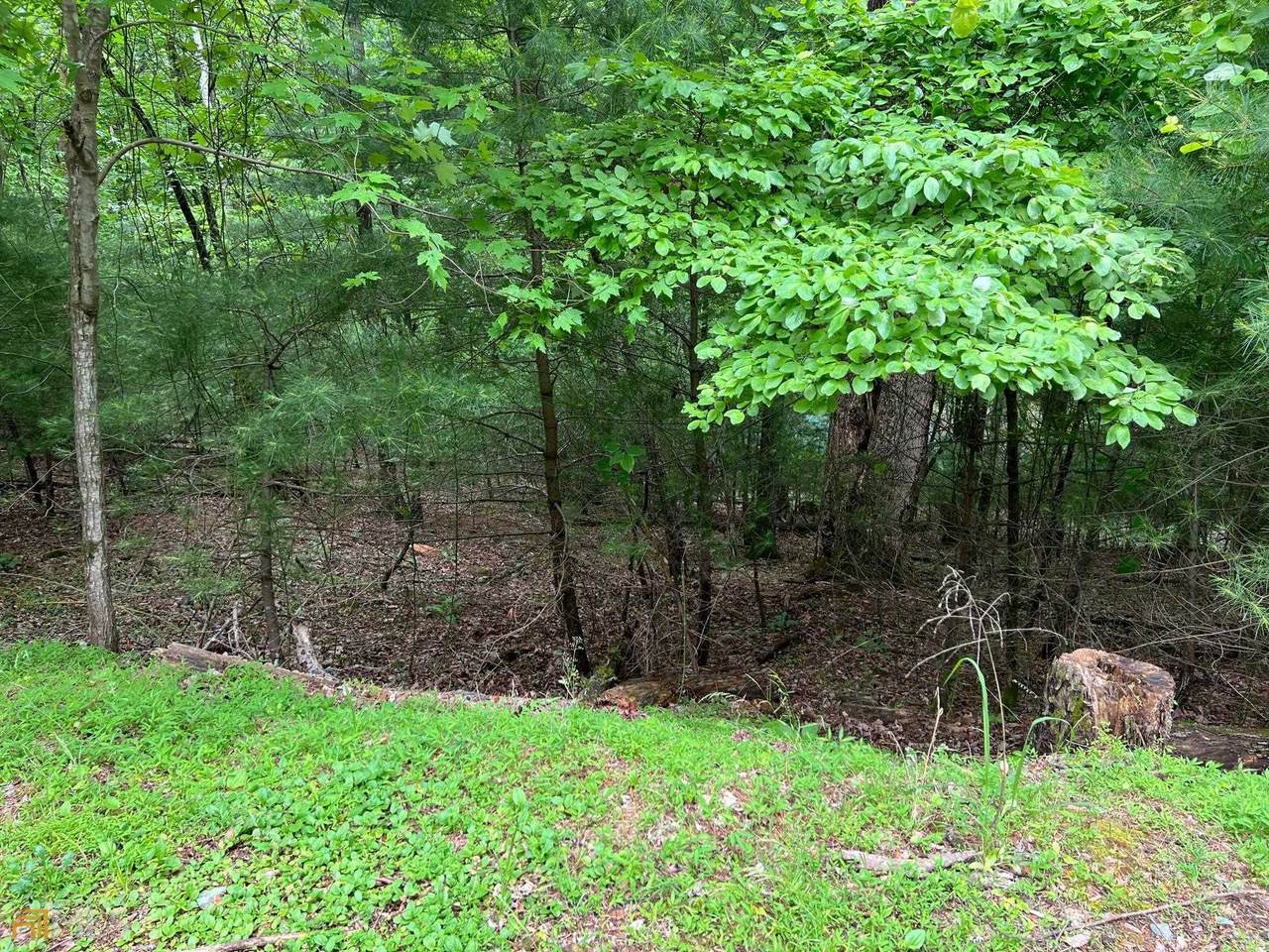 00 Walnut Mountain Ct Road - Photo 1