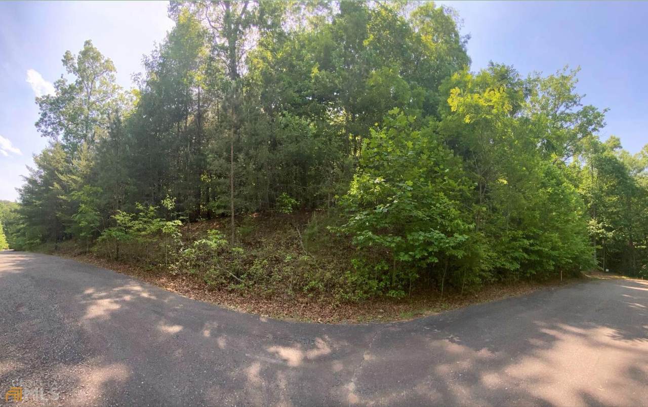 LOT 10 Pinnacle Pointe - Photo 1