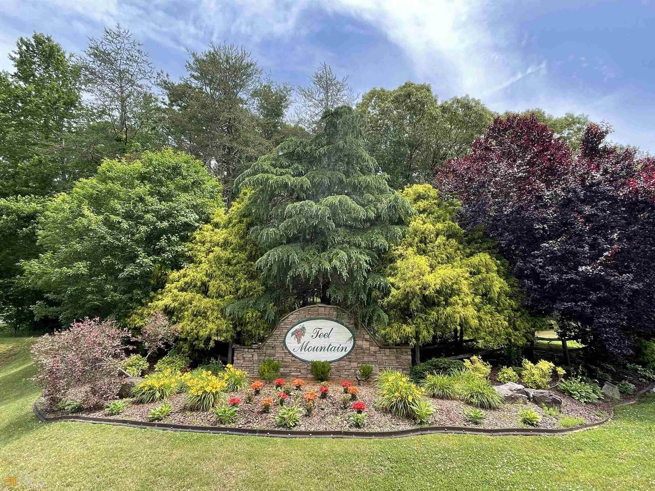 0 Teel Mountain Lane - Photo 1