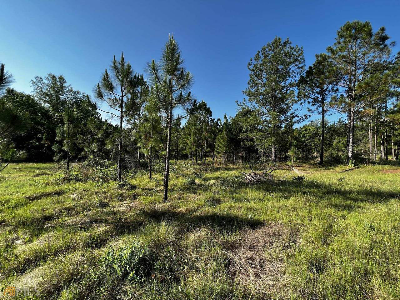 1175 Hall Road - Photo 1
