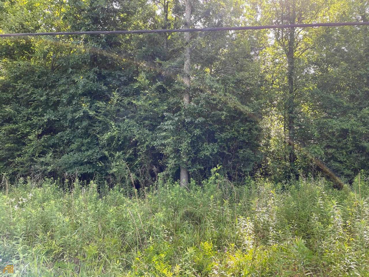 0 Trion Hwy - Photo 1