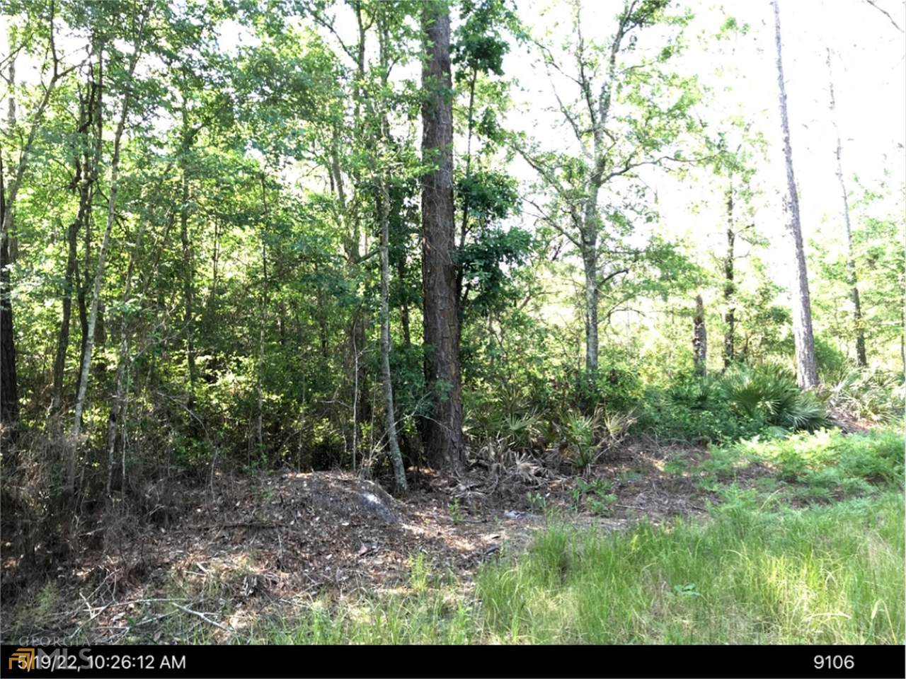 0 Big Horse Creek Road - Photo 1