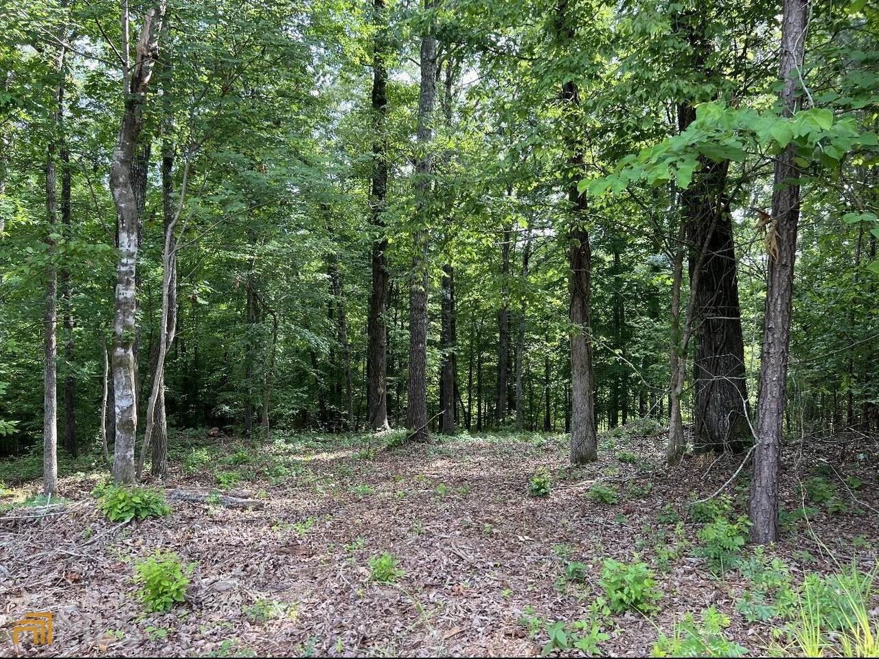 7001 New Forsyth Road - Photo 1