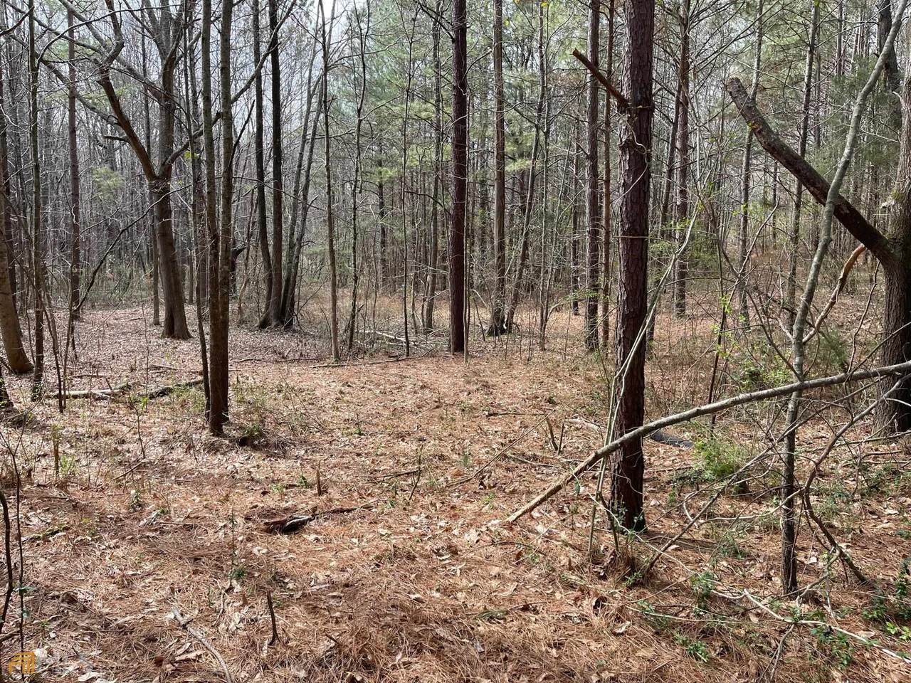 650 Avery Road - Photo 1